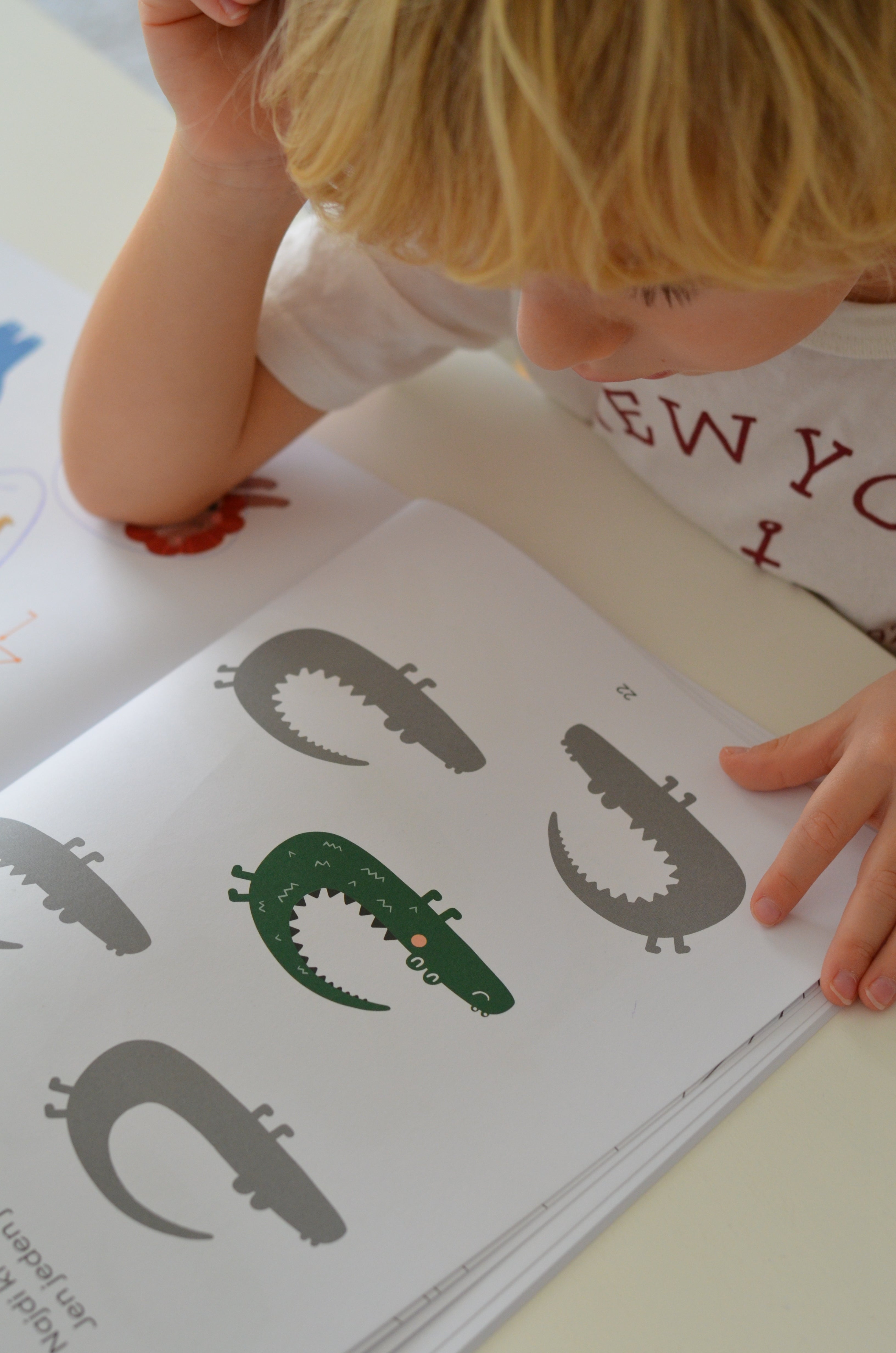 Mein erstes Safari-Arbeitsheft