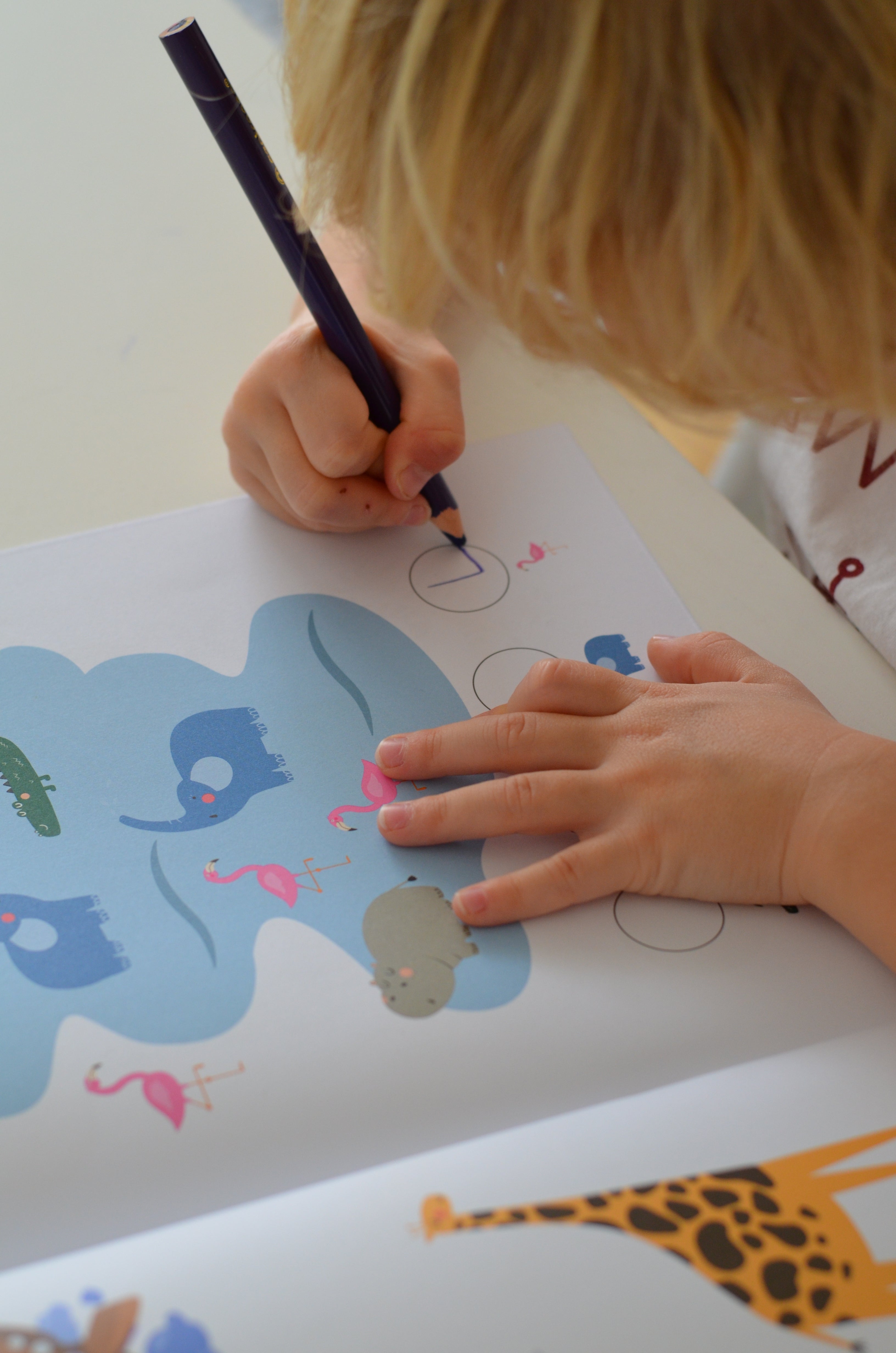 Mein erstes Safari-Arbeitsheft