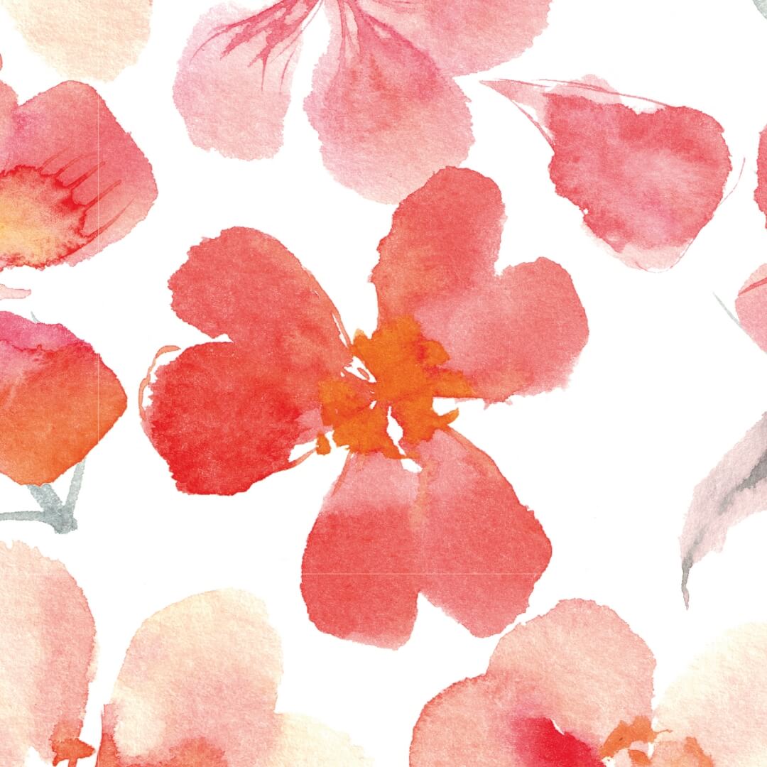DAY Flowers